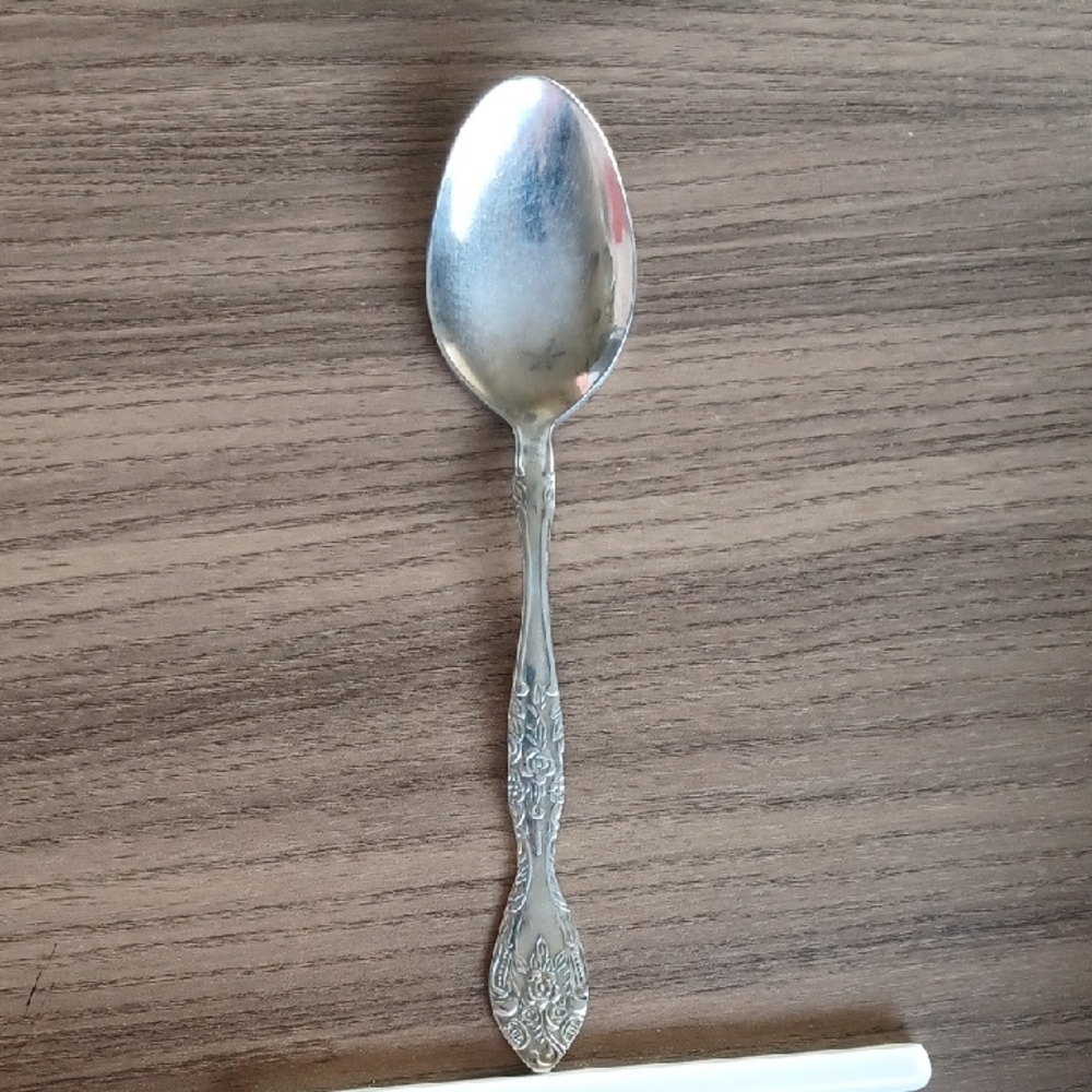 Oneida Table Spoon